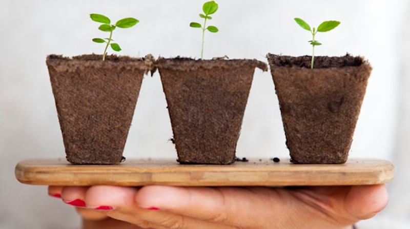 Personal Growth