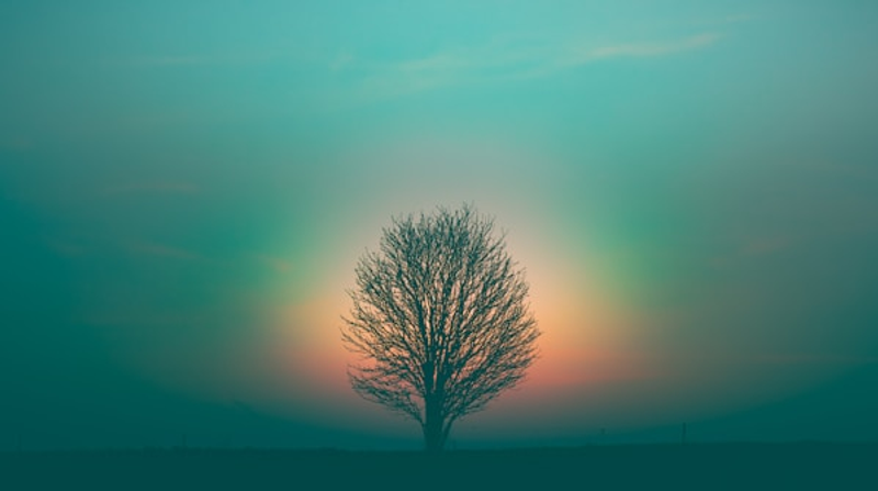 Spirituality and Faith