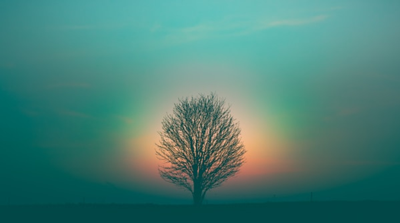 Feature image